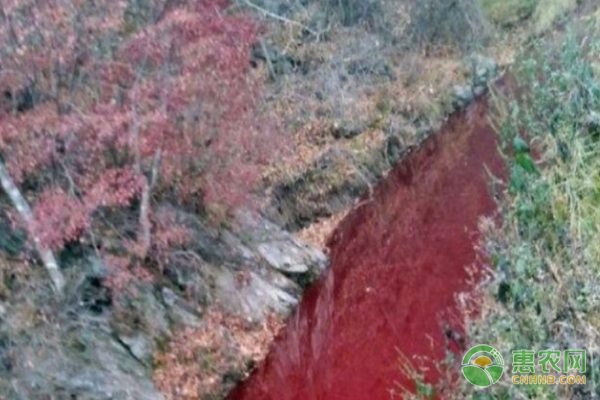 新型肥料营销模式转型：技术驱动迎来发展新周期-绿源新宇生物有机肥官网