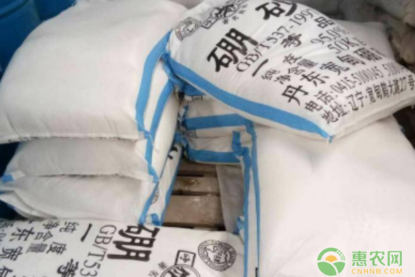 核桃树修剪时间和方法技巧，秋季落叶前春季萌芽后最佳-绿源新宇生物有机肥官网