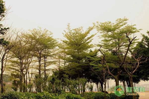 高端农药市场迎来转机 农药消费升级趋势明显-绿源新宇生物有机肥官网