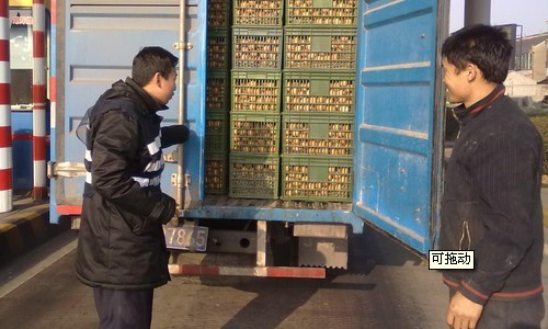 农产品批发市场节前迎来销售高峰 南菜北运需求旺盛-绿源新宇生 农产品批发市场节前迎来销售高峰 南菜北运需求旺盛-绿源新宇生