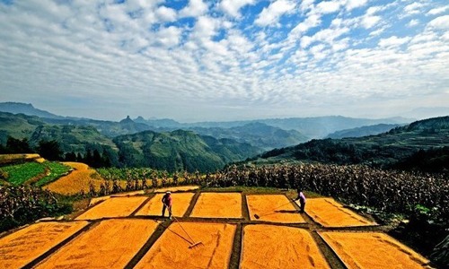 农村土地改革激活15亿亩土地价值达130万亿-绿源新宇生物有 农村土地改革激活15亿亩土地价值达130万亿-绿源新宇生物有