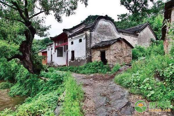 冬季冷冻农产品市场火爆 节日需求推动价格走高-绿源新宇生物有机肥官网 冬季冷冻农产品市场火爆 节日需求推动价格走高-绿源新宇生物有机肥官网