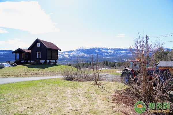 机关党员干部进村入户助力农业增收，解难题办实事促发展-绿源新宇生物有机肥官网