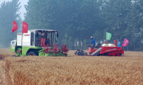 机关党员干部进村入户助力农业增收，解难题办实事促发展-绿源新