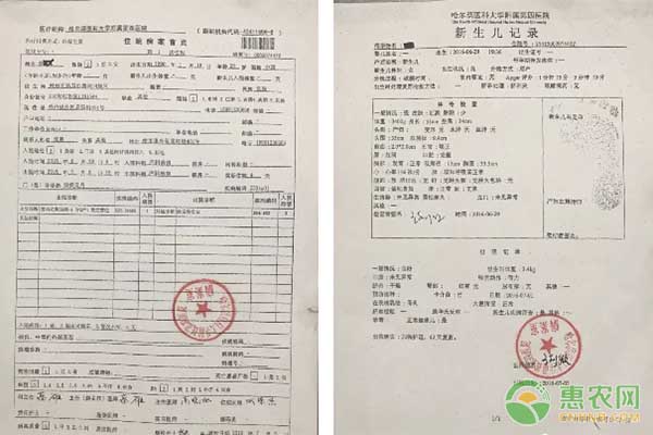 苗木交易突破传统模式 网络平台助力拓展新客户渠道-绿源新宇生物有机肥官网