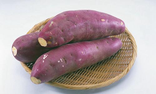 红薯营养价值揭秘 百岁老人长寿秘诀-绿源新宇生物有机肥官网