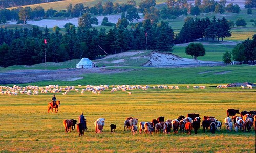 内蒙古冬季旅游攻略：冰雪节庆与草原风光完美融合-绿源新宇生物