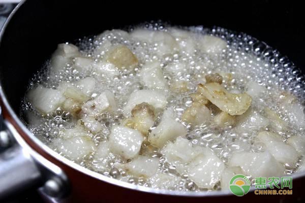 以色列农业节水技术经验借鉴 滴灌技术助力现代农业发展-绿源新宇生物有机肥官网 以色列农业节水技术经验借鉴 滴灌技术助力现代农业发展-绿源新宇生物有机肥官网