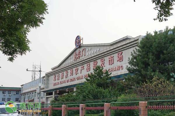 除草剂在农业生产中的重要作用及正确使用方法-绿源新宇生物有机肥官网 除草剂在农业生产中的重要作用及正确使用方法-绿源新宇生物有机肥官网