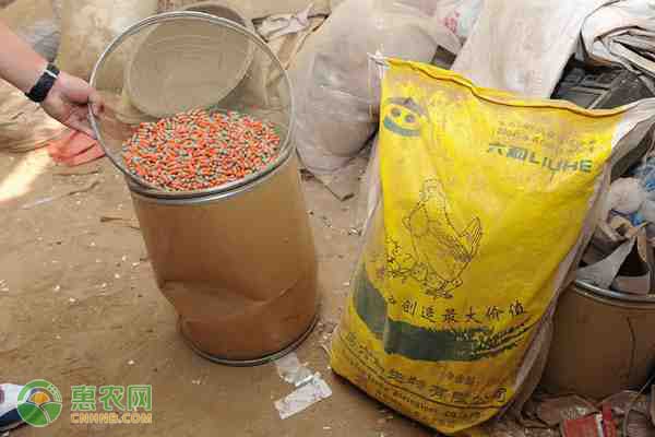 金乡大蒜营养价值丰富被誉为天然抗生素保健食品-绿源新宇生物有机肥官网