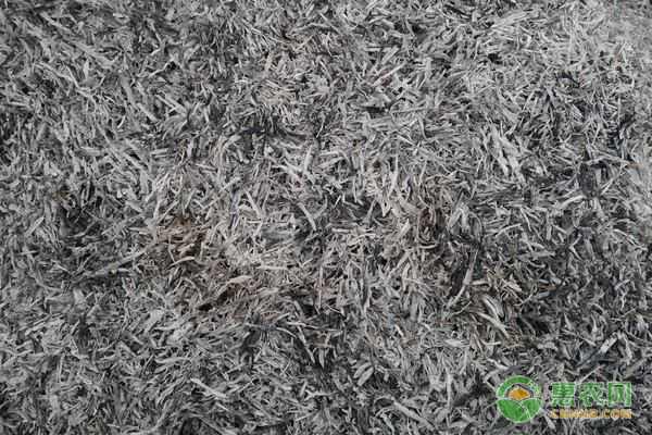 农产品交易网改变传统买卖模式，助力农业数字化转型-绿源新宇生物有机肥官网