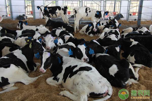 农产品批发市场如何严把食品安全关-绿源新宇生物有机肥官网