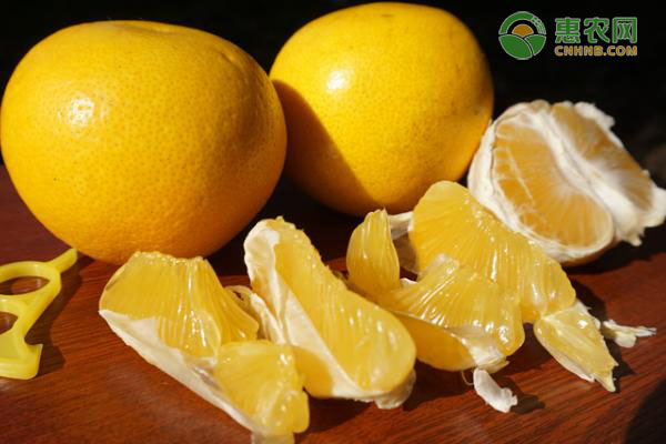 土地改良技术助力农民增收 农业现代化转型新路径探索-绿源新宇生物有机肥官网