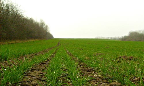 土地改良技术助力农民增收 农业现代化转型新路径探索-绿源新宇