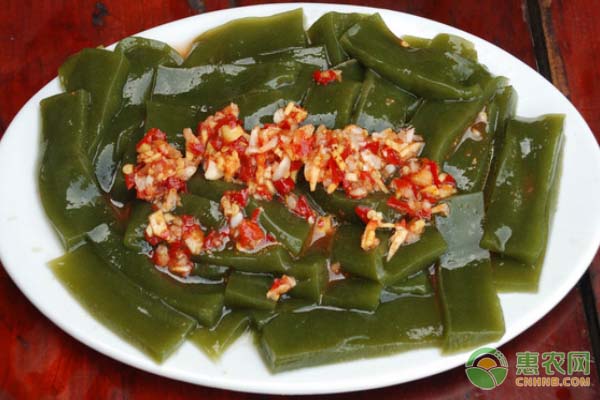 冬季养猪避免尿窝的五大防治方法-绿源新宇生物有机肥官网