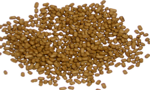 畜禽饲料生喂熟喂有讲究 青贮饲料宜生喂棉籽饼需熟喂-绿源新宇