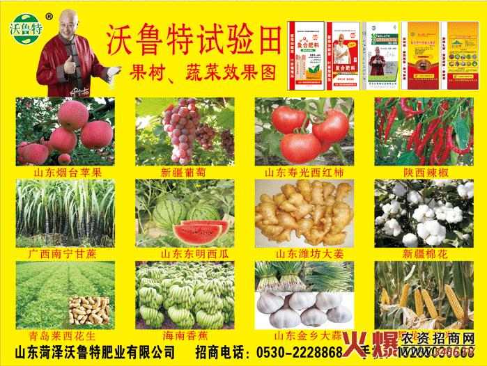 山东菏泽沃鲁特化肥有限公司