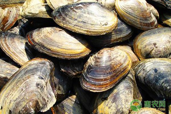 秸秆变废为宝新途径：木塑材料解决焚烧污染难题-绿源新宇生物有机肥官网