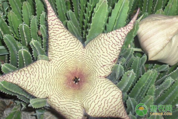 中国农产品网销转型之路：从交通建设到数字化营销的跨越-绿源新宇生物有机肥官网