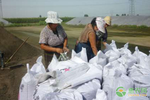 中国猪肉进口量持续攀升 9月进口5.2万吨同比增长20.4%-绿源新宇生物有机肥官网