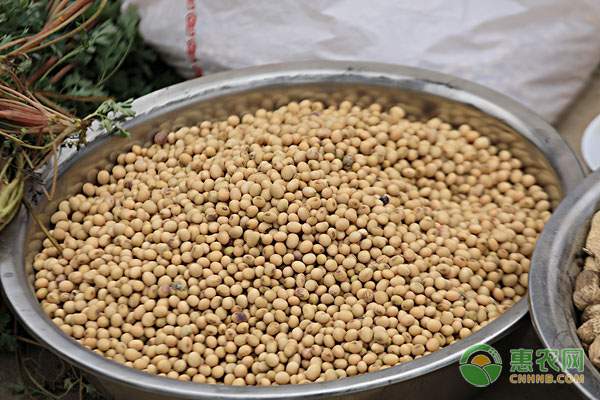 农产品批发市场发展趋势分析 传统流通模式向信息化转型-绿源新宇生物有机肥官网 农产品批发市场发展趋势分析 传统流通模式向信息化转型-绿源新宇生物有机肥官网