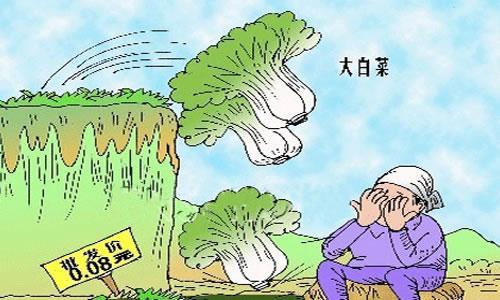 农产品销售难题如何破解 中间环节过多导致价格倒挂-绿源新宇生