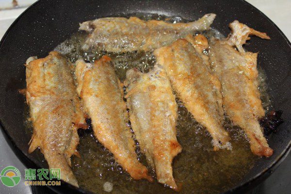 青藏高原马铃薯种植合作社通过网络平台解决销售难题实现丰收增收-绿源新宇生物有机肥官网 青藏高原马铃薯种植合作社通过网络平台解决销售难题实现丰收增收-绿源新宇生物有机肥官网