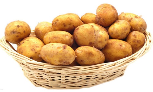 武川马铃薯价格暴跌真相:小农户滞销背后的信息流通难题-绿源新 武川马铃薯价格暴跌真相:小农户滞销背后的信息流通难题-绿源新