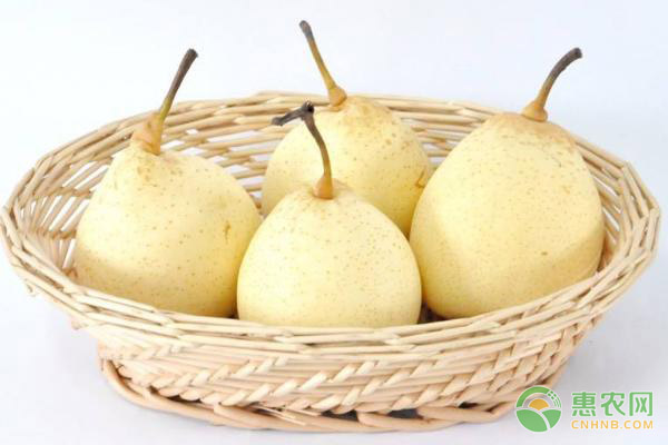 农产品流通成本过高成死结 网络交易平台破解买卖难题-绿源新宇生物有机肥官网 农产品流通成本过高成死结 网络交易平台破解买卖难题-绿源新宇生物有机肥官网