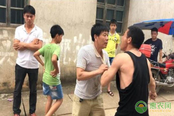 山东临朐县创建全国有机农业示范基地 板栗产业实现增收致富新模式-绿源新宇生物有机肥官网