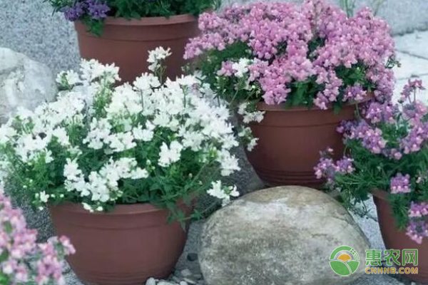 辽宁省生猪规模养殖场获9480万投资