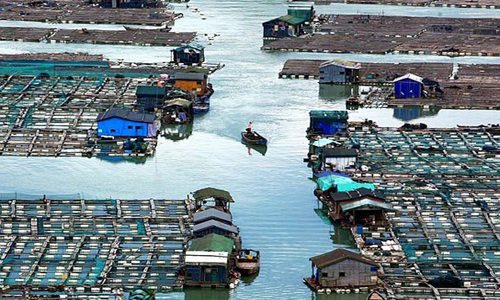 霞浦台湾水产品集散中心产业示范园