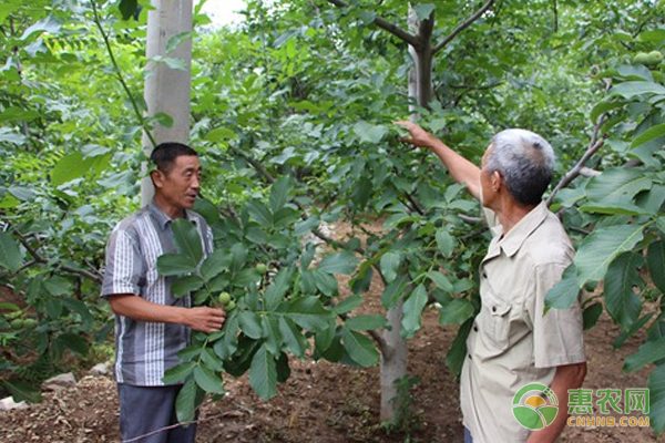霞浦台湾水产品集散中心产业示范园