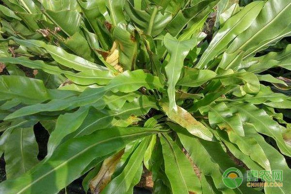 青海泽库县成功申报全国有机畜牧业示范基地-绿源新宇生物有机肥官网