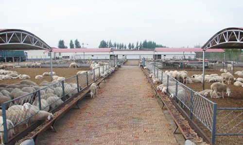 青海泽库县成功申报全国有机畜牧业示范基地-绿源新宇生物有机肥