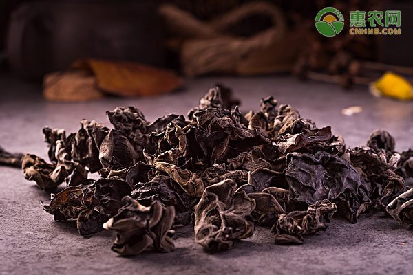 新型城镇化建设应注重文化保护与特色发展-绿源新宇生物有机肥官网