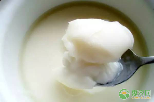 养兔八大禁忌注意事项，避免连续血配和盲目用药-绿源新宇生物有机肥官网