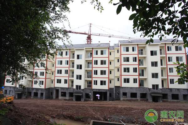 农业部副部长于康震广西调研动物疫病防控和畜牧业发展-绿源新宇生物有机肥官网