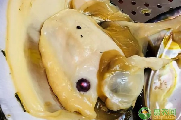 农资店铺转型网上销售成发展趋势，线上线下融合发展是关键-绿源新宇生物有机肥官网