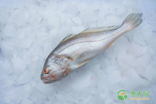 中国大豆进口量持续攀升 国内产量下降需求增长-绿源新宇生物有机肥官网