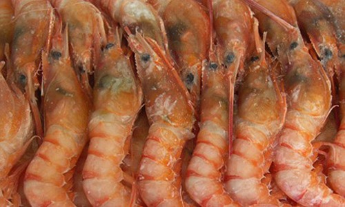 冻熟对虾包冰率超30%成行业潜规则，消费者权益受侵害可投诉维