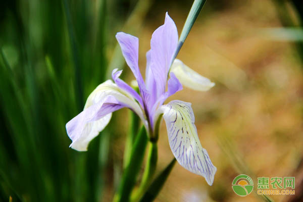 河北出台政策加快现代畜牧业发展 四大体系建设护航产业升级-绿源新宇生物有机肥官网