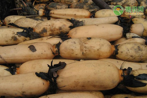健康饮料市场迎来黄金时期 功能性饮品受消费者青睐-绿源新宇生物有机肥官网 健康饮料市场迎来黄金时期 功能性饮品受消费者青睐-绿源新宇生物有机肥官网