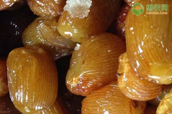 进口兽药管理办法详解：监管制度与通关流程全面解读-绿源新宇生物有机肥官网