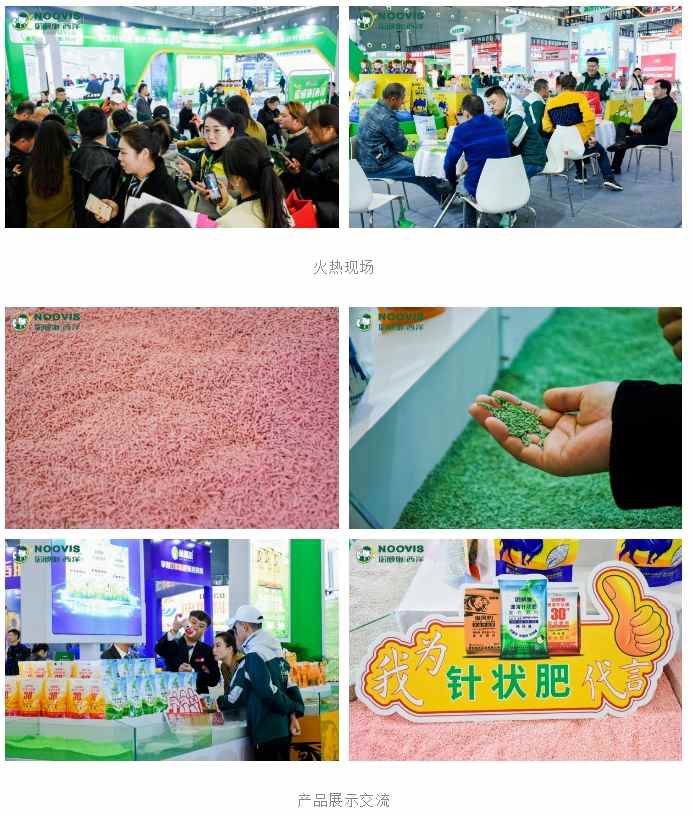 微信截图_20231124085532.png 微信截图_20231124085532.png