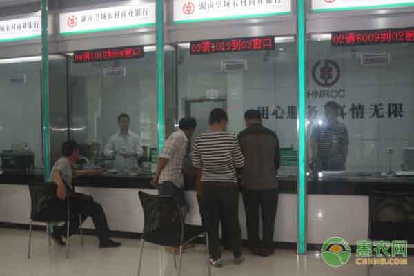 农民借网络平台卖菜致富，蔬菜销售渠道实现新突破-绿源新宇生物有机肥官网