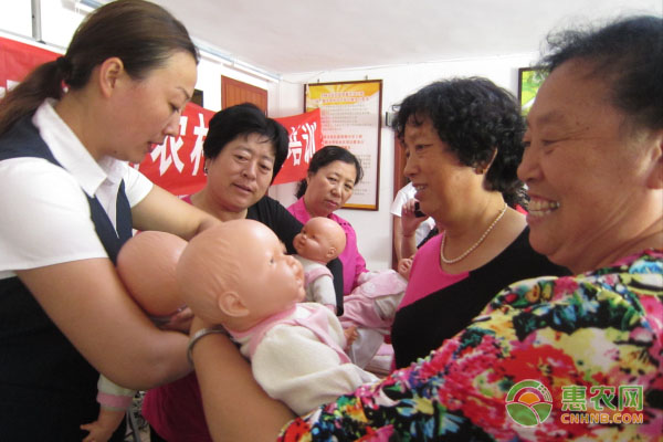 岚县马铃薯产业规模化发展助力农民增收 经济效益显著提升-绿源新宇生物有机肥官网