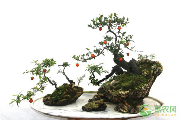 国土资源部规范土地整治政策 征求意见明确群众自愿原则-绿源新宇生物有机肥官网