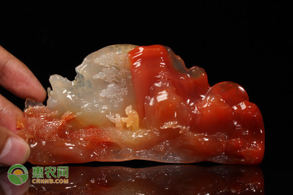 科技兴农助力现代农业转型 湘潭农业产业化发展成效显著-绿源新宇生物有机肥官网 科技兴农助力现代农业转型 湘潭农业产业化发展成效显著-绿源新宇生物有机肥官网