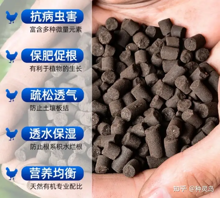 家庭养花必备肥料指南：羊粪鸡粪蚯蚓肥饼肥草木灰海藻肥全解析-绿源新宇生物有机肥官网